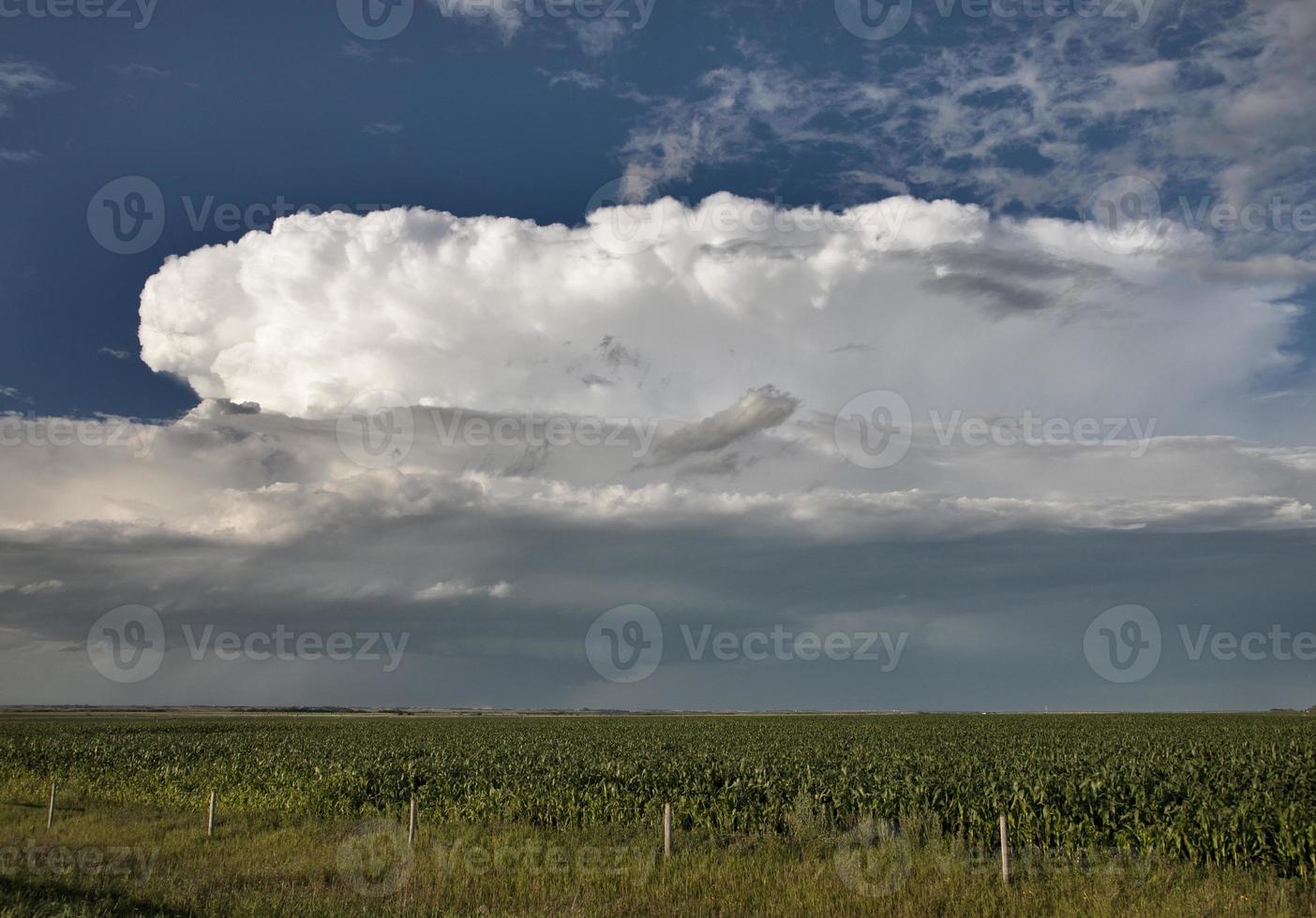 pradera nubes de tormenta foto