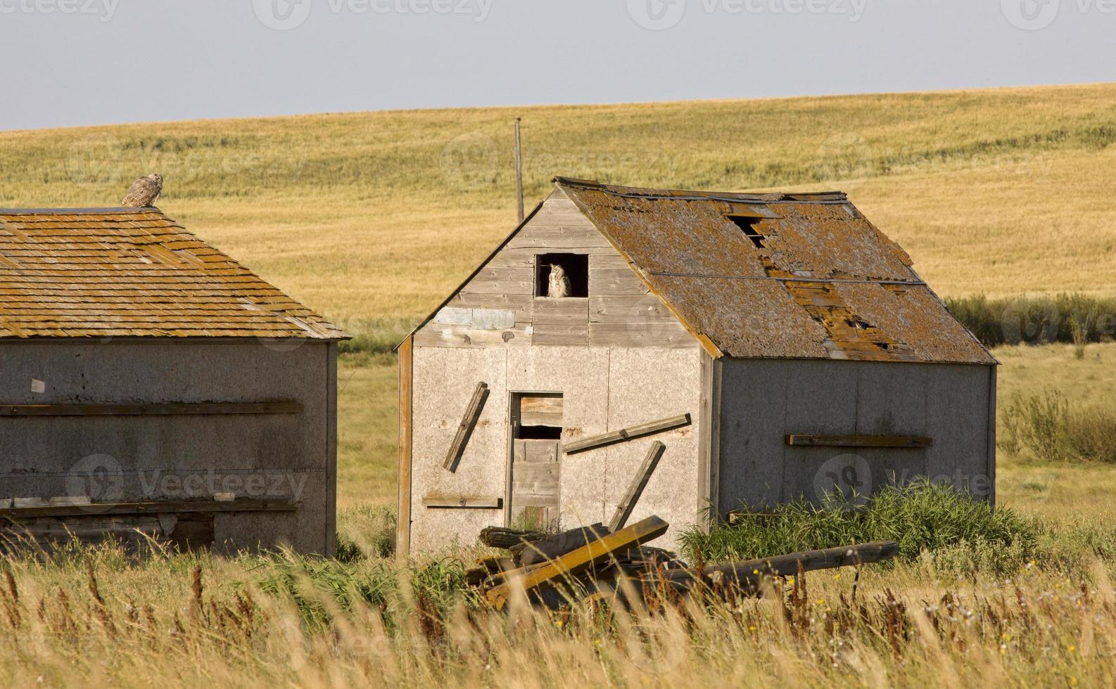 Prairie Barn Saskatchewan photo