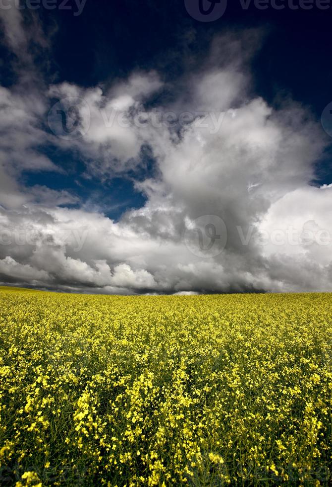 nubes de tormenta saskatchewan foto
