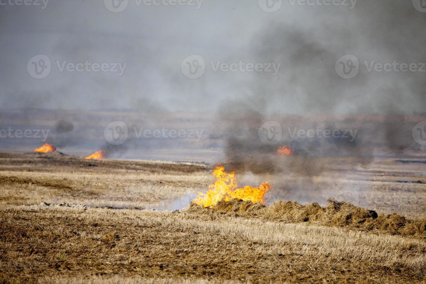 Prairie Stubble Burn photo