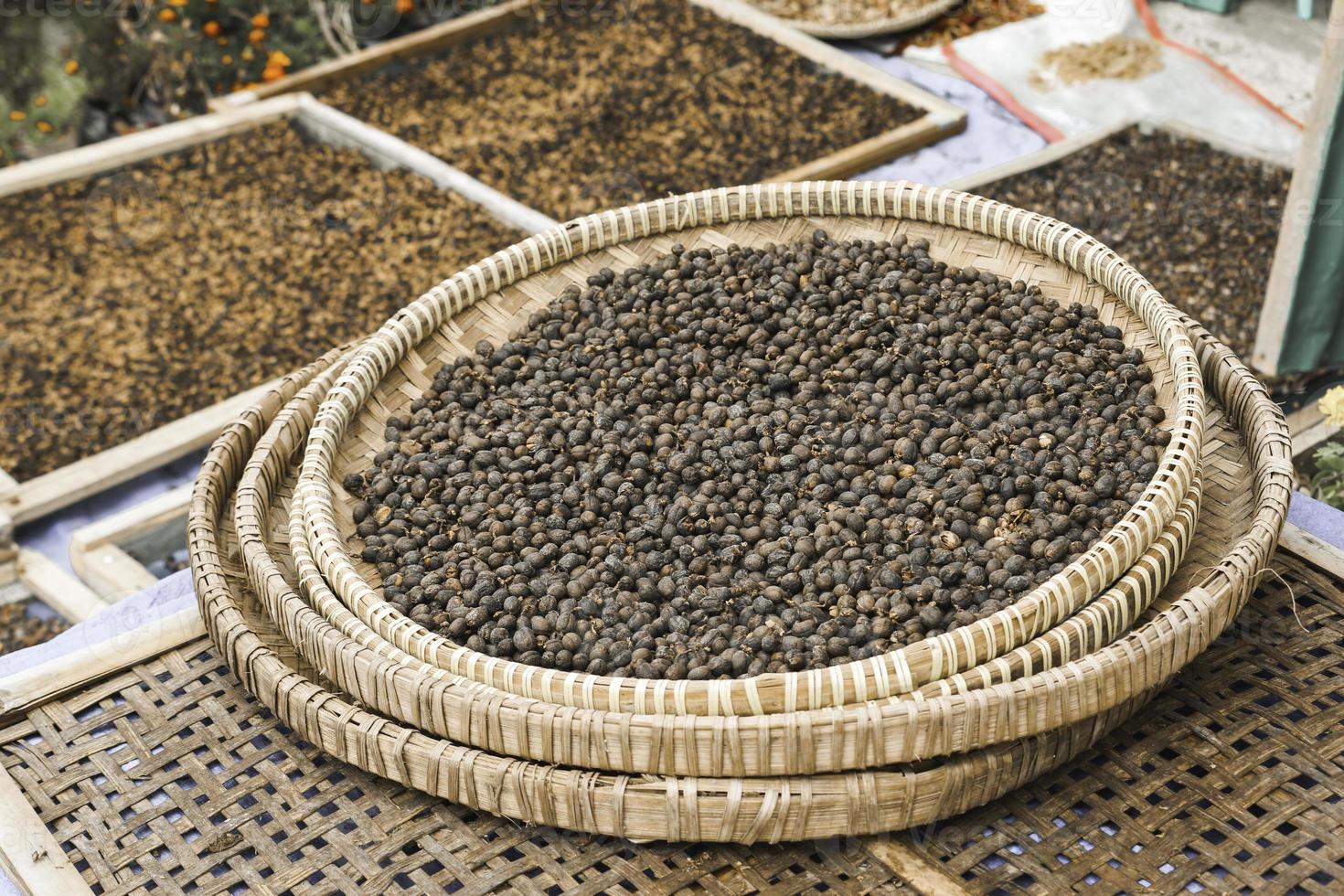 Coffee beans drying in the sun in the traditional basket at Indonesia photo