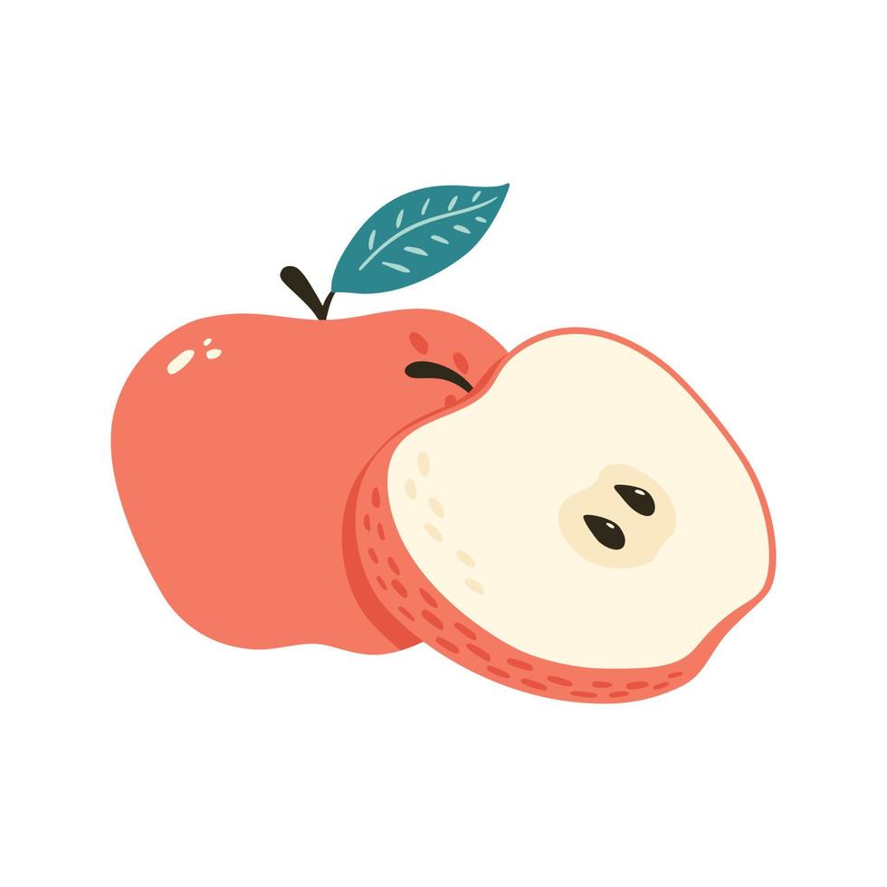 Manzana roja dulce fresca con ilustración vectorial aislada de hoja. una  fruta entera y media con semillas. estilo de dibujos animados 5907563  Vector en Vecteezy