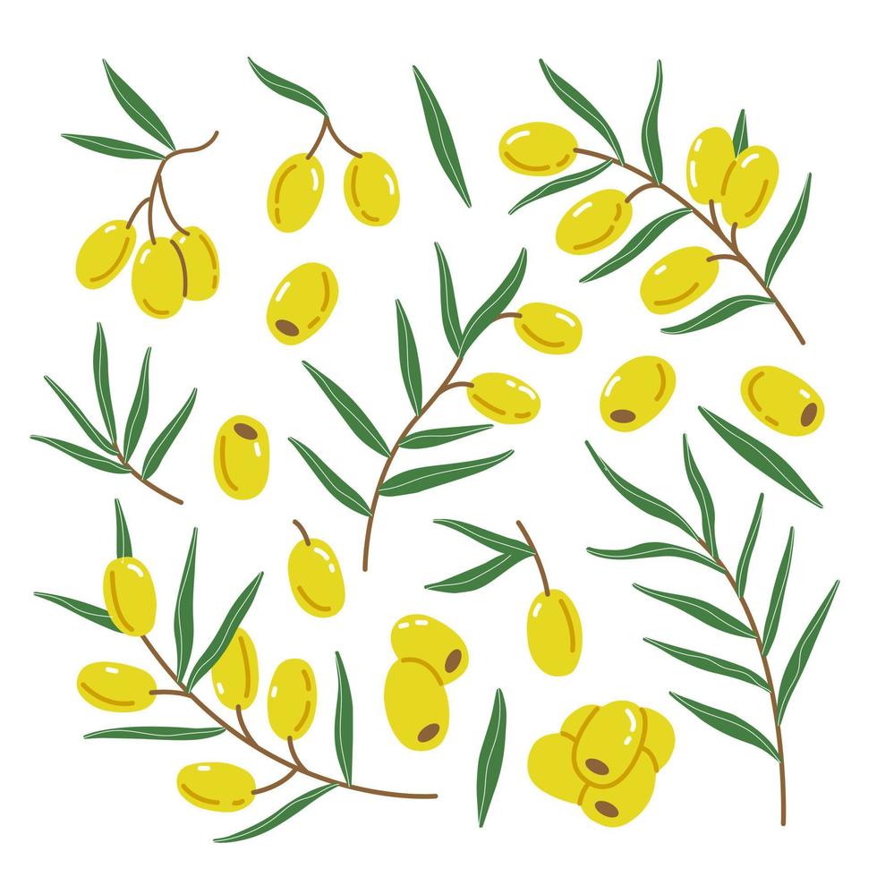 Set with green olives, twigs and leaves in a simple cute cartoon flat style. Vector illustration isolated on white background.