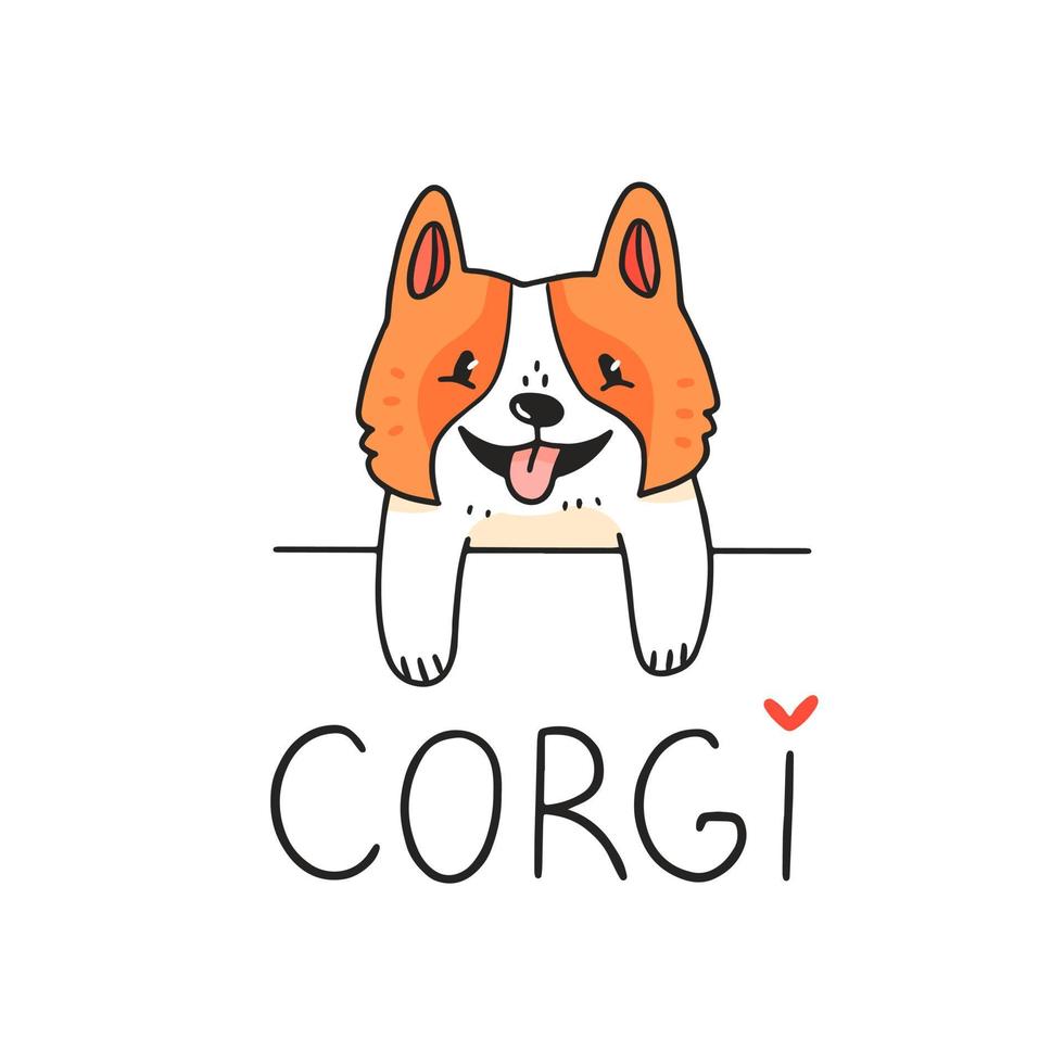 Cute corgi dog character looking out from behind an obstacle with text. Vector illustration.