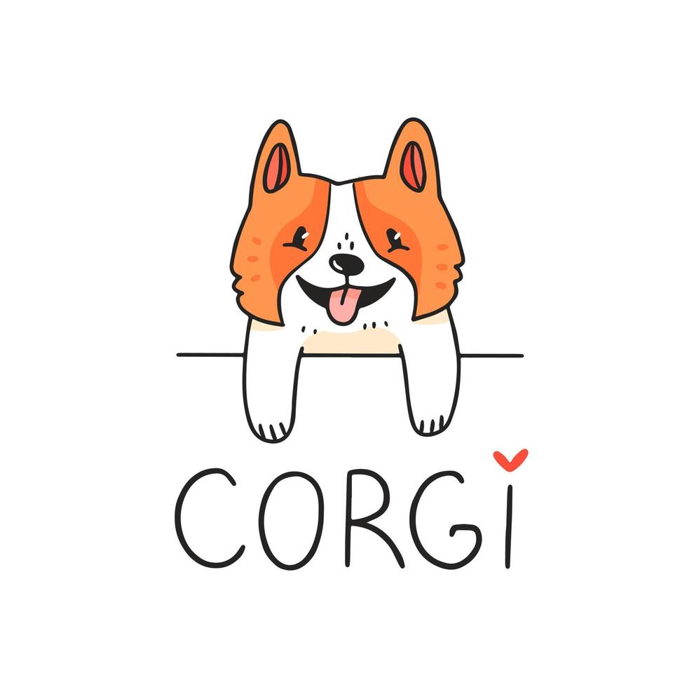 lindo personaje de perro corgi mirando desde detrás de un obstáculo con texto. ilustración vectorial vector