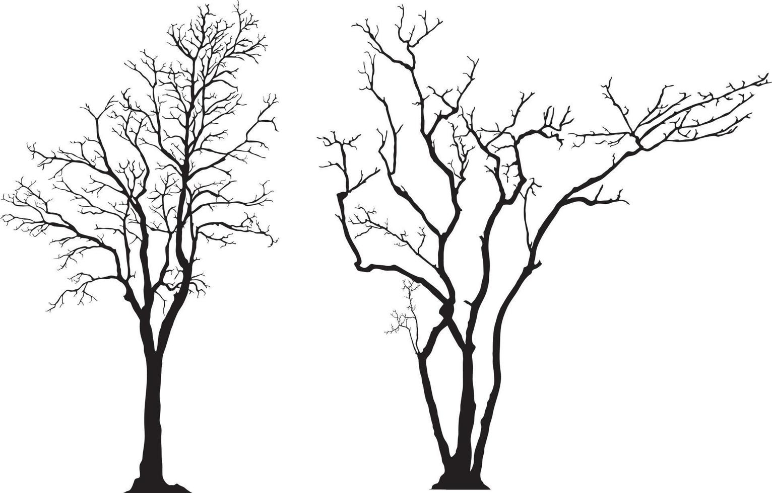 silhouette of tree without leaves vector