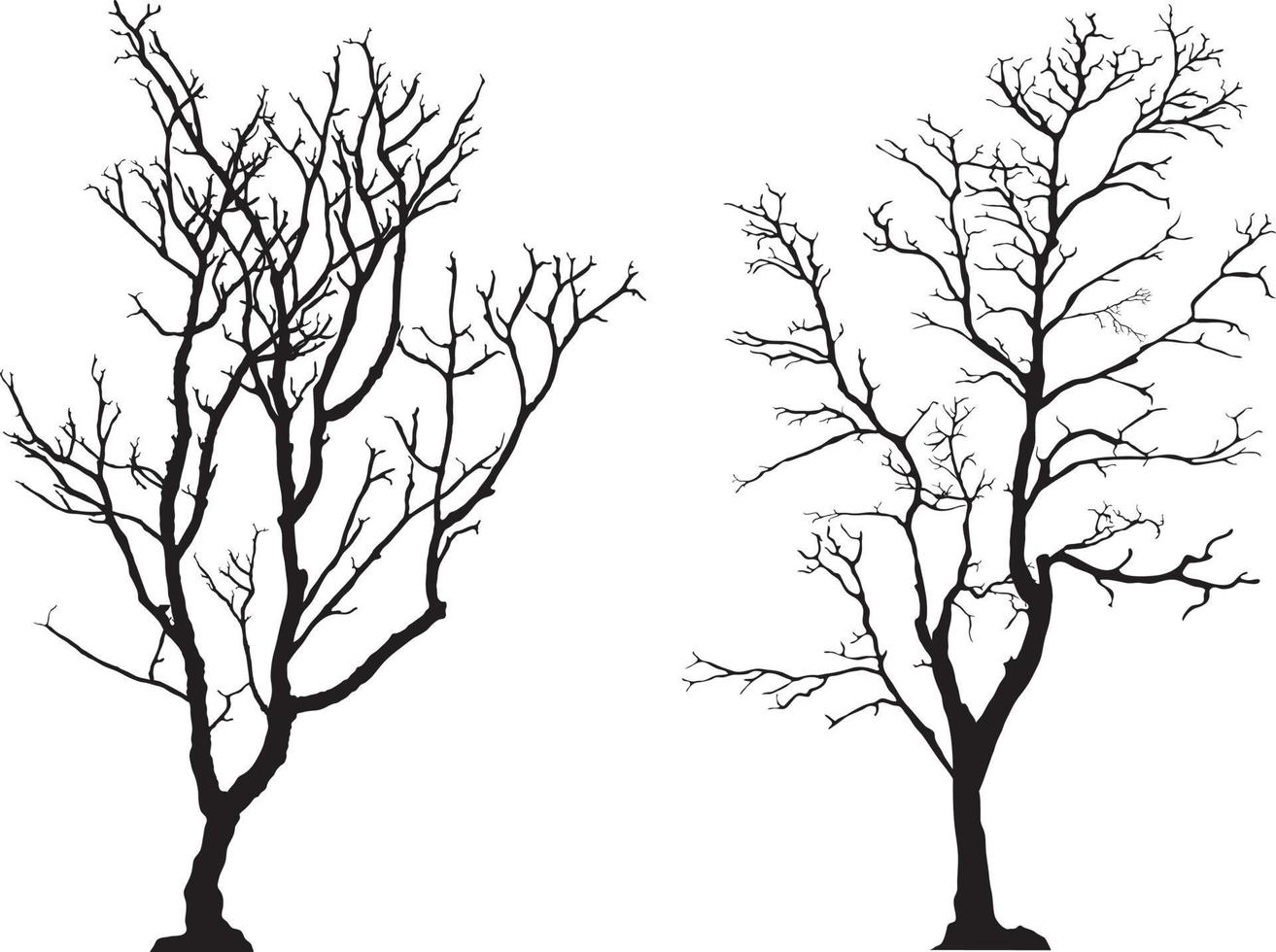 silhouette of tree without leaves vector