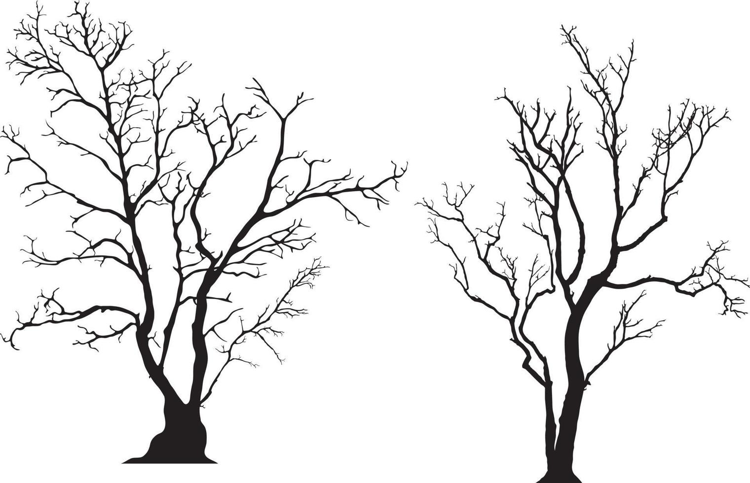 silhouette of tree without leaves vector