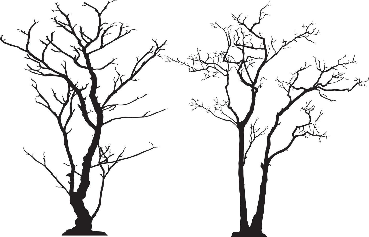 silhouette of tree without leaves vector