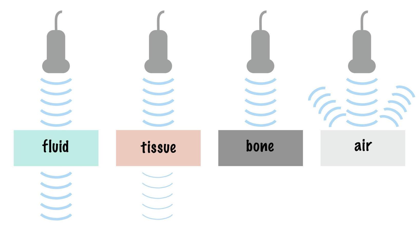 Ultrasound Wave Attenuation of Different Tissue Including Fluid Soft