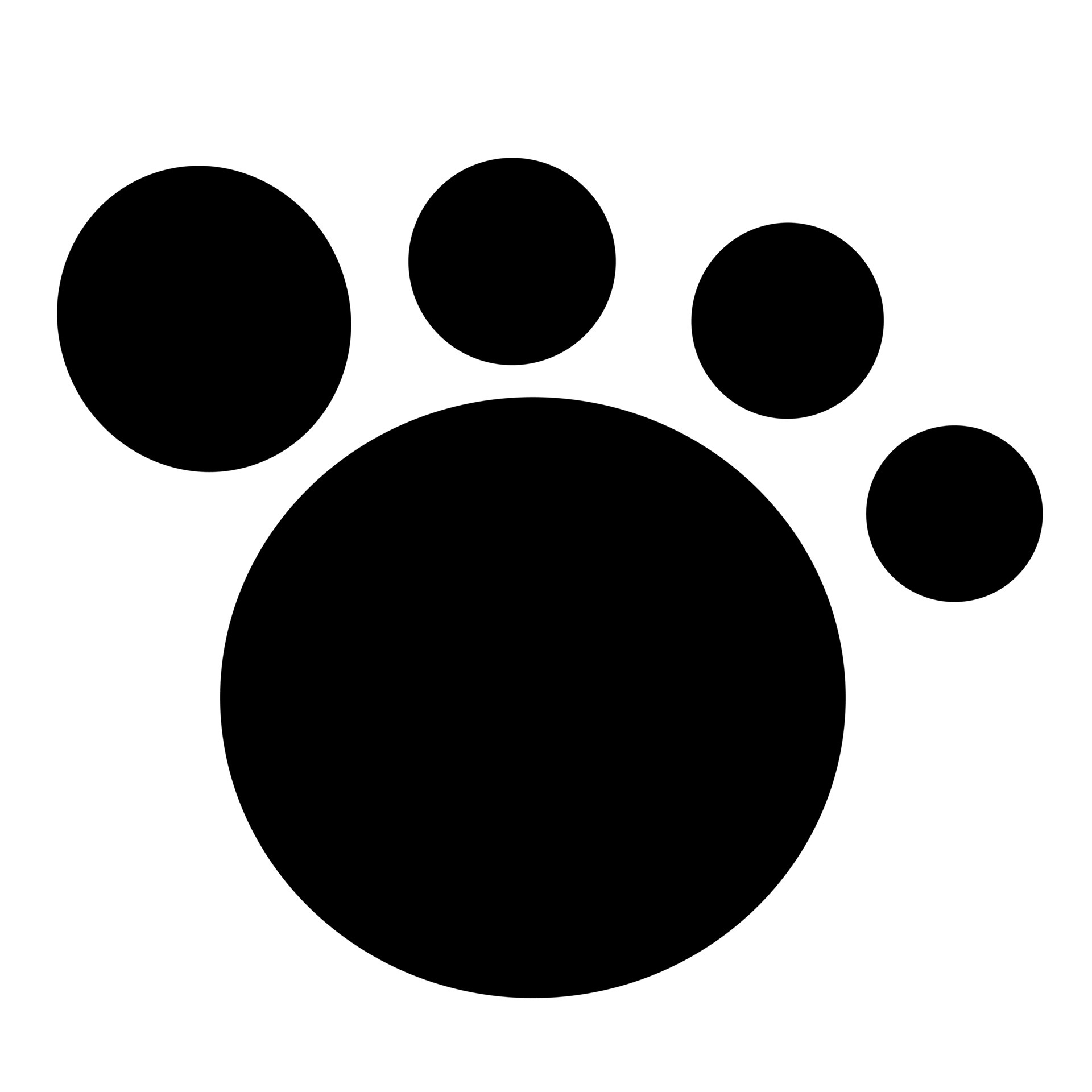pet-animal-foot-print-5910309-vector-art-at-vecteezy