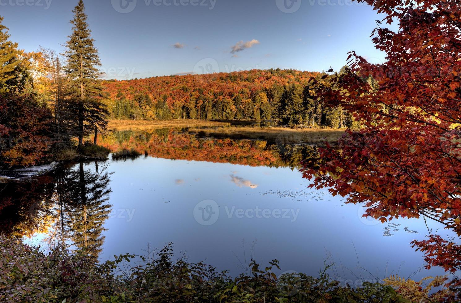 Lake in Autumn photo