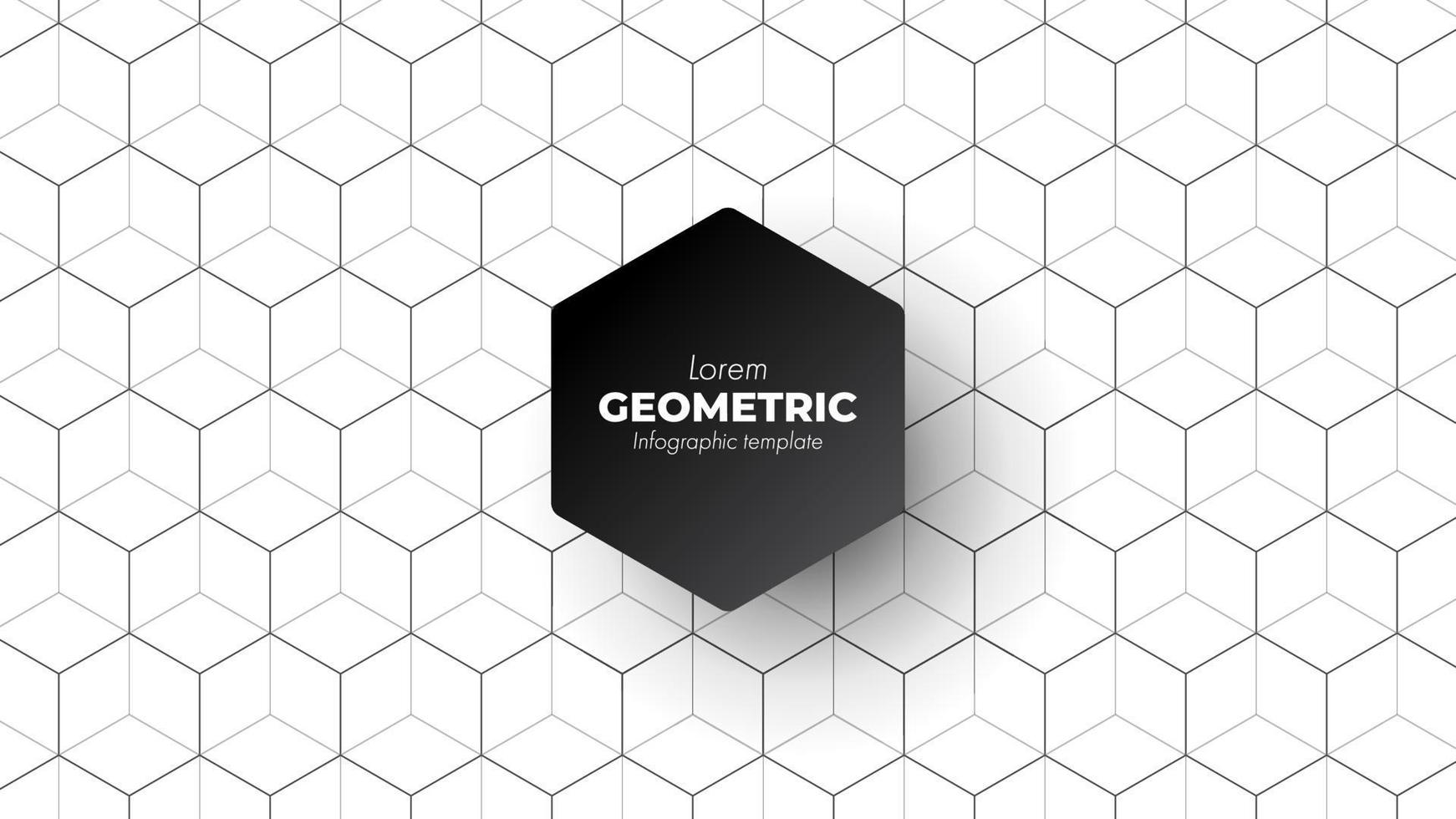 Geometric hexagon background with concepts minimal and clear. vector