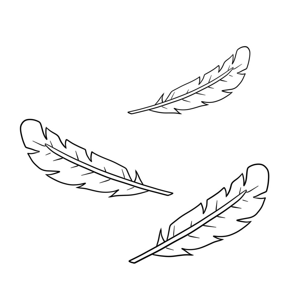 Bird feather. Decorative element vector