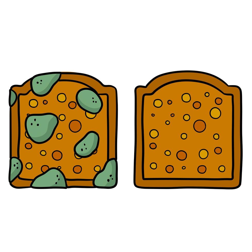 Bread with mold. Incorrect storage of the product. Fungus and rot vector
