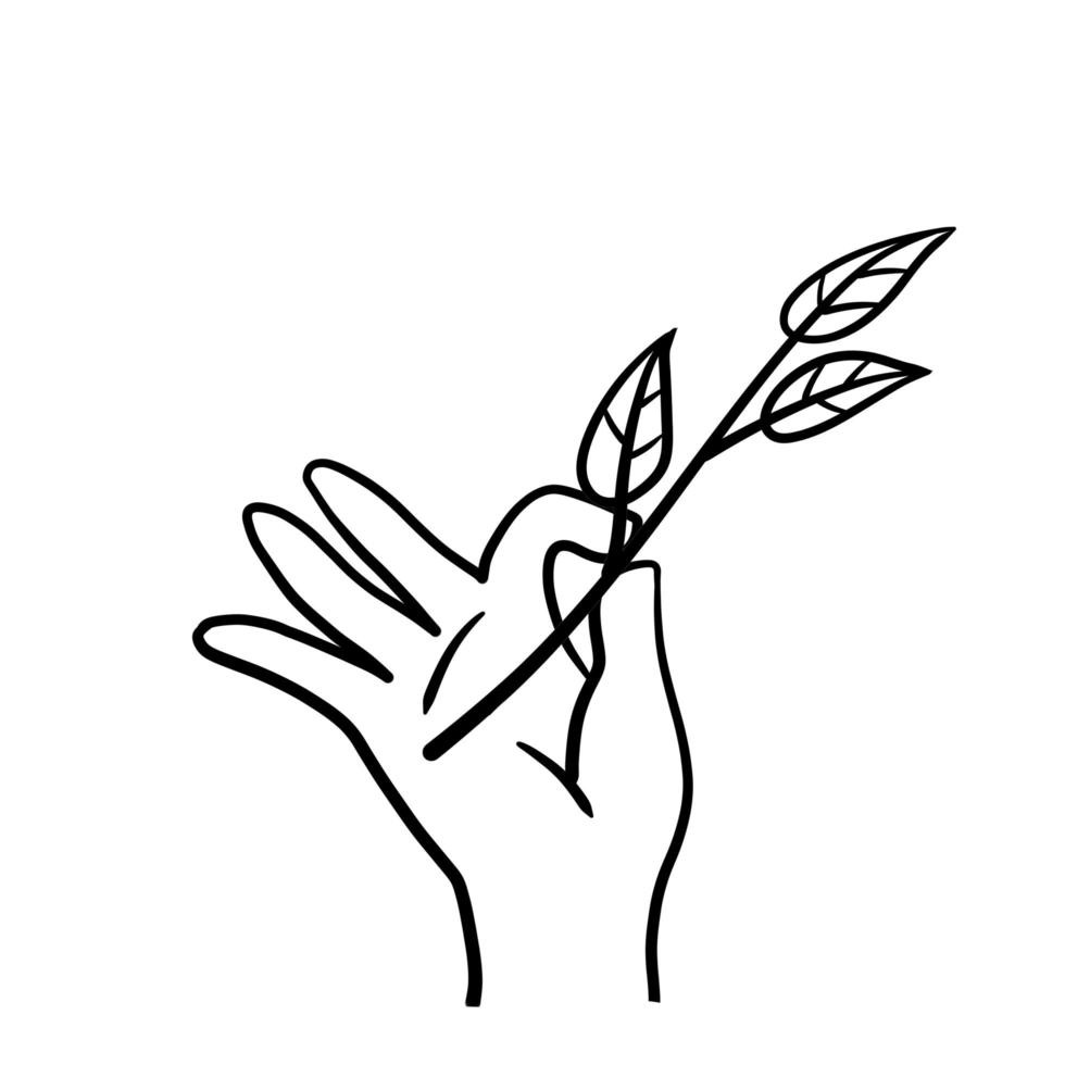 Hand with branch with leaves. Fresh Plant in palm. vector