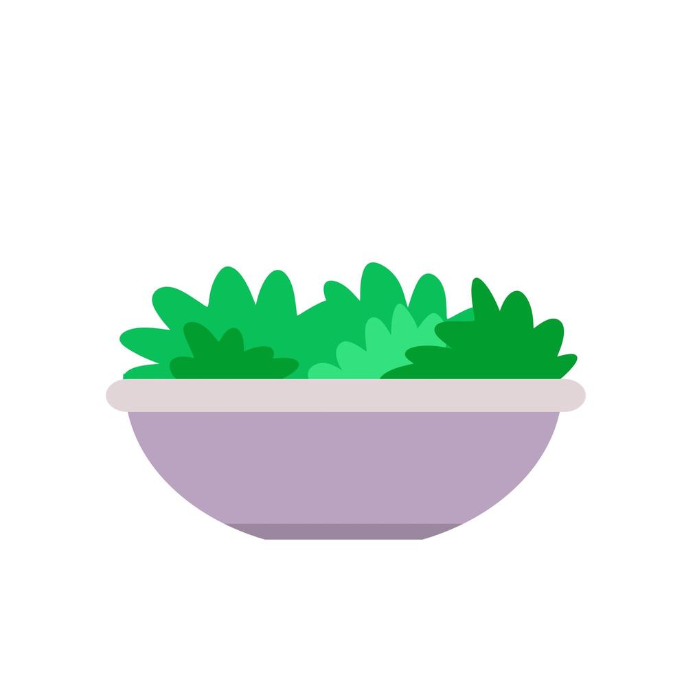 Vegetable salad with green leaves in plate. vector