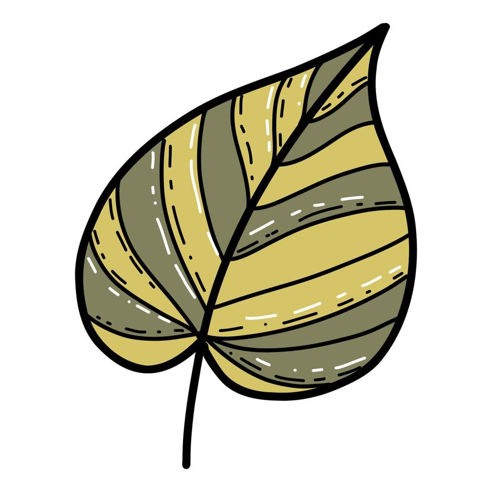 hoja de planta de dibujos animados en la ilustración de vector de estilo de fideos, estilo dibujado a mano, aislado sobre fondo blanco