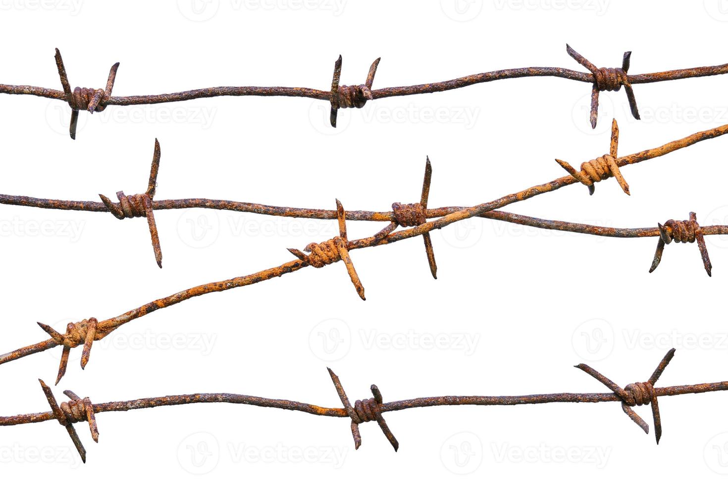 Rusty sharp barbed wires isolated on white background photo