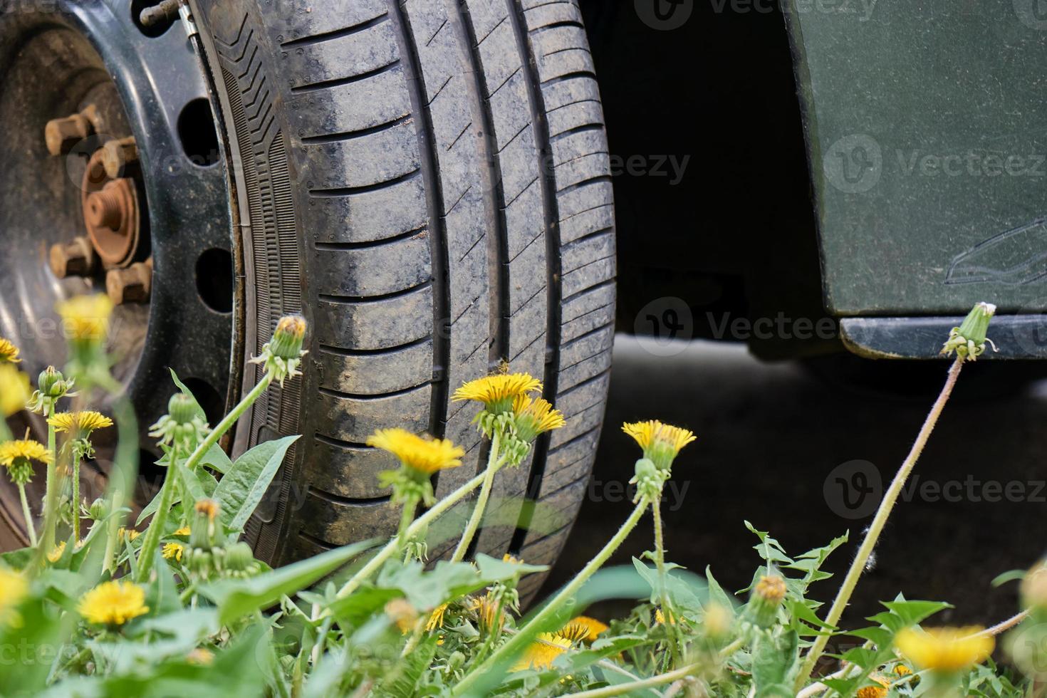 Car wheel standing on the green grass with yellow dandelions. Suitable for tire service and traveling. photo