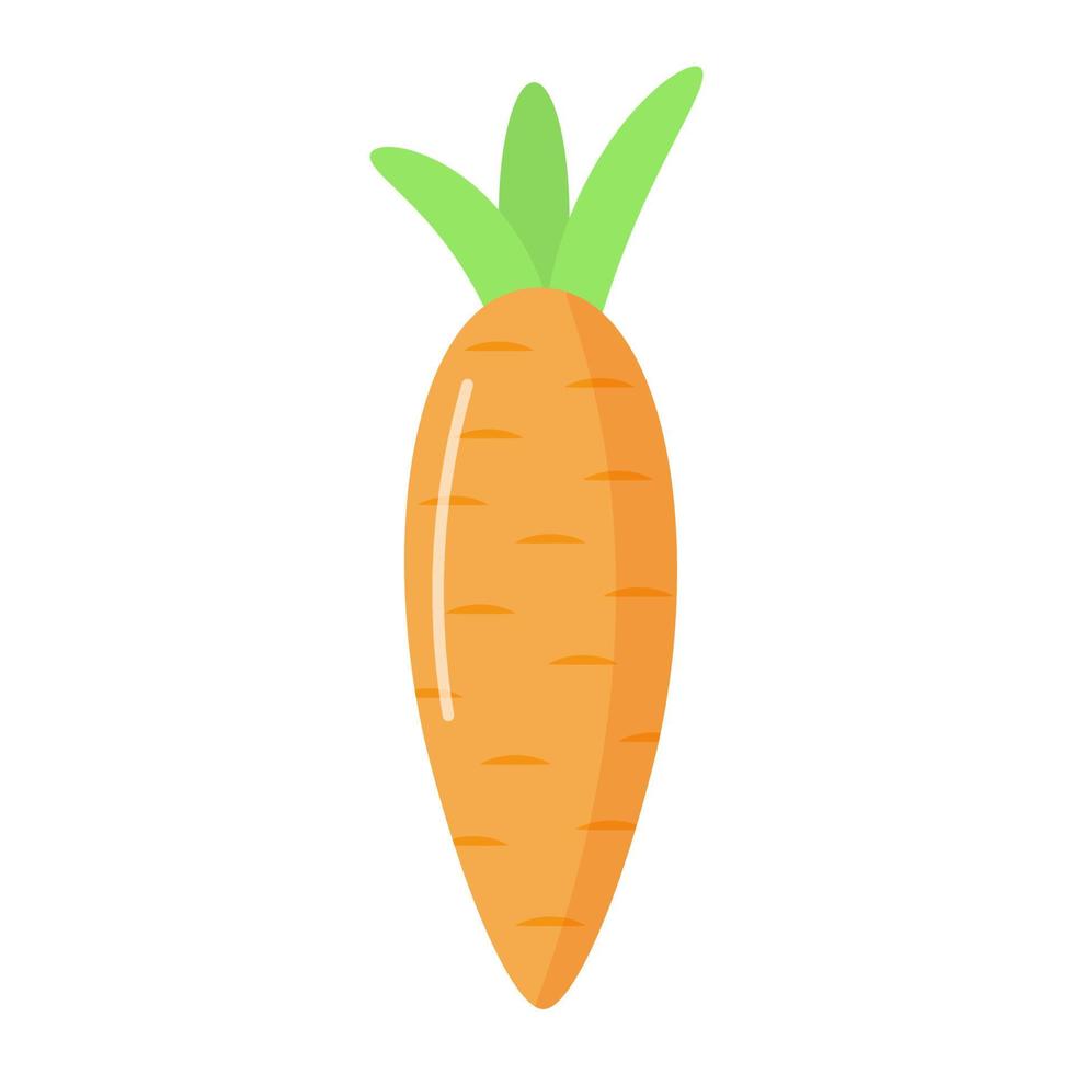 Cute cartoon carrot isolated on white background. vector