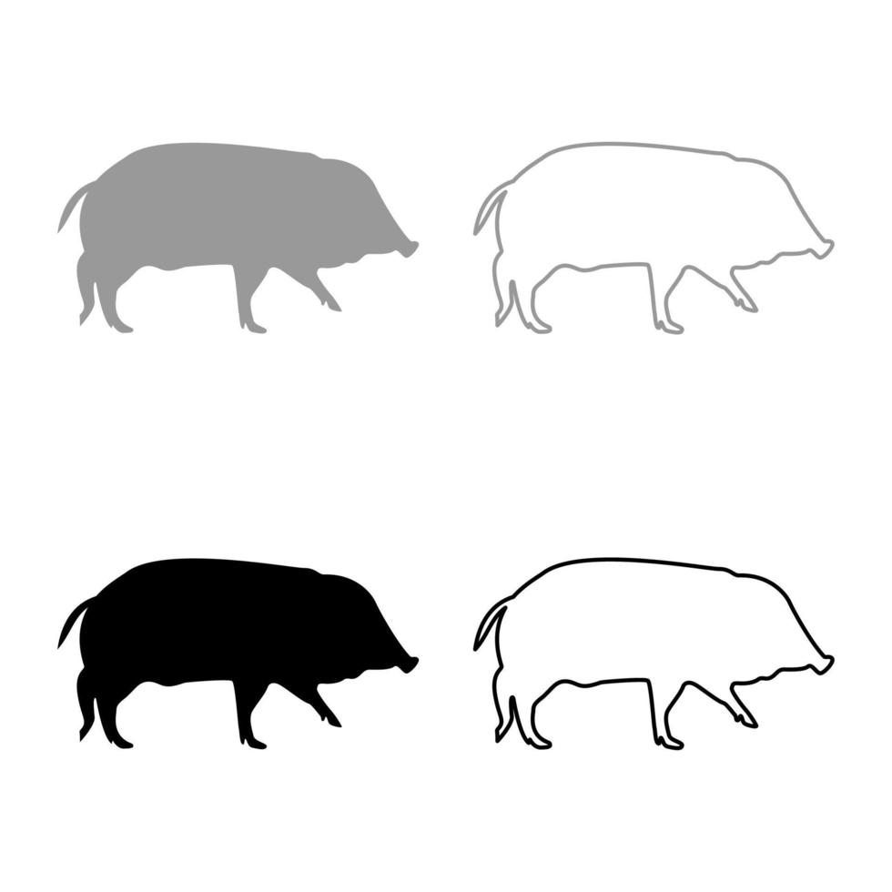 jabalí cerdo verruga porcina suidae sus colmillo scrofa silueta gris negro color vector ilustración contorno sólido estilo imagen