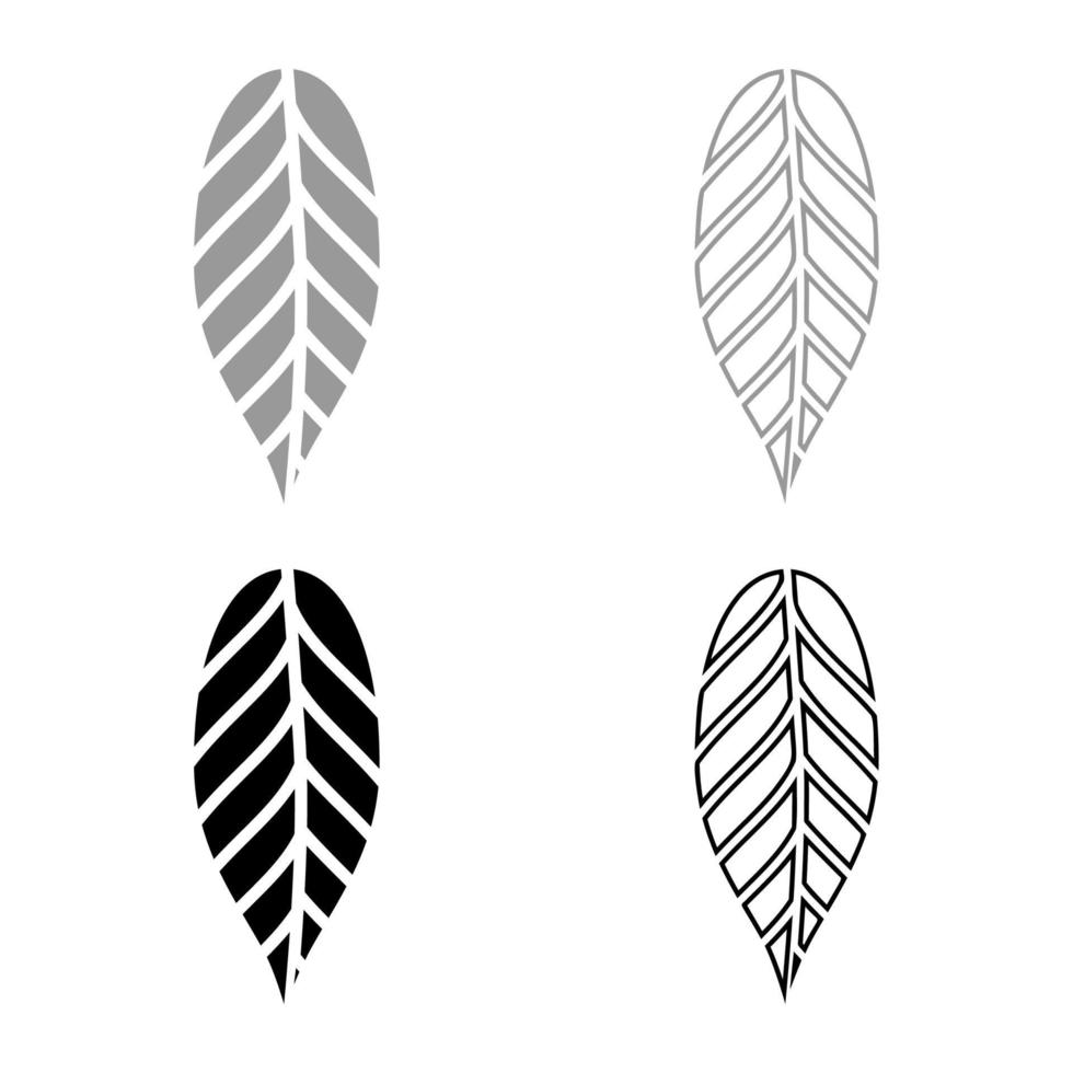 hoja cacao bob icono esquema conjunto negro gris color vector ilustración estilo plano imagen