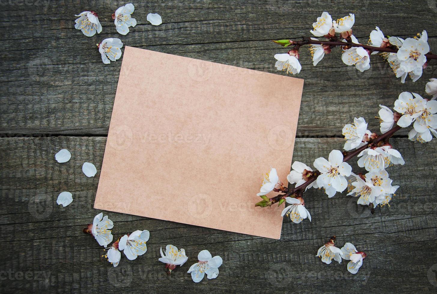 Spring apricot  blossom and card photo