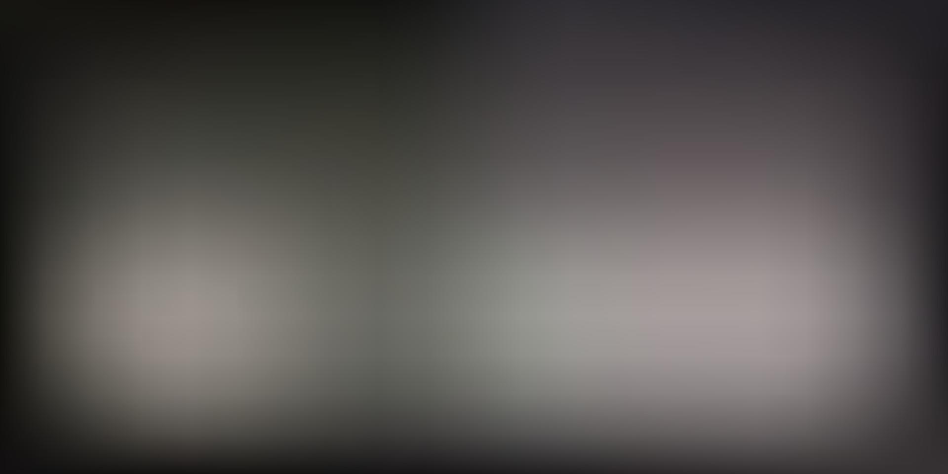 Light Gray vector abstract blur template.