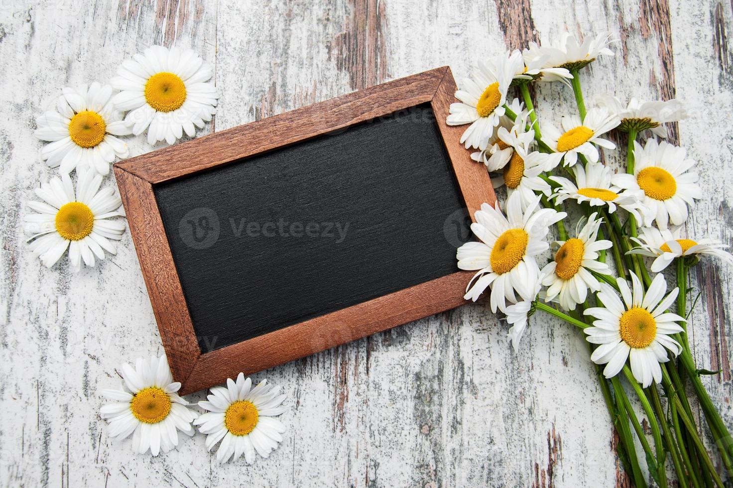 Camomile with blackboard photo