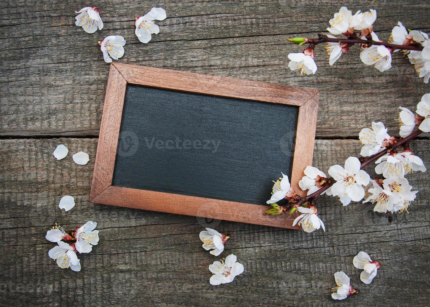 Spring apricot  blossom and blackboard photo