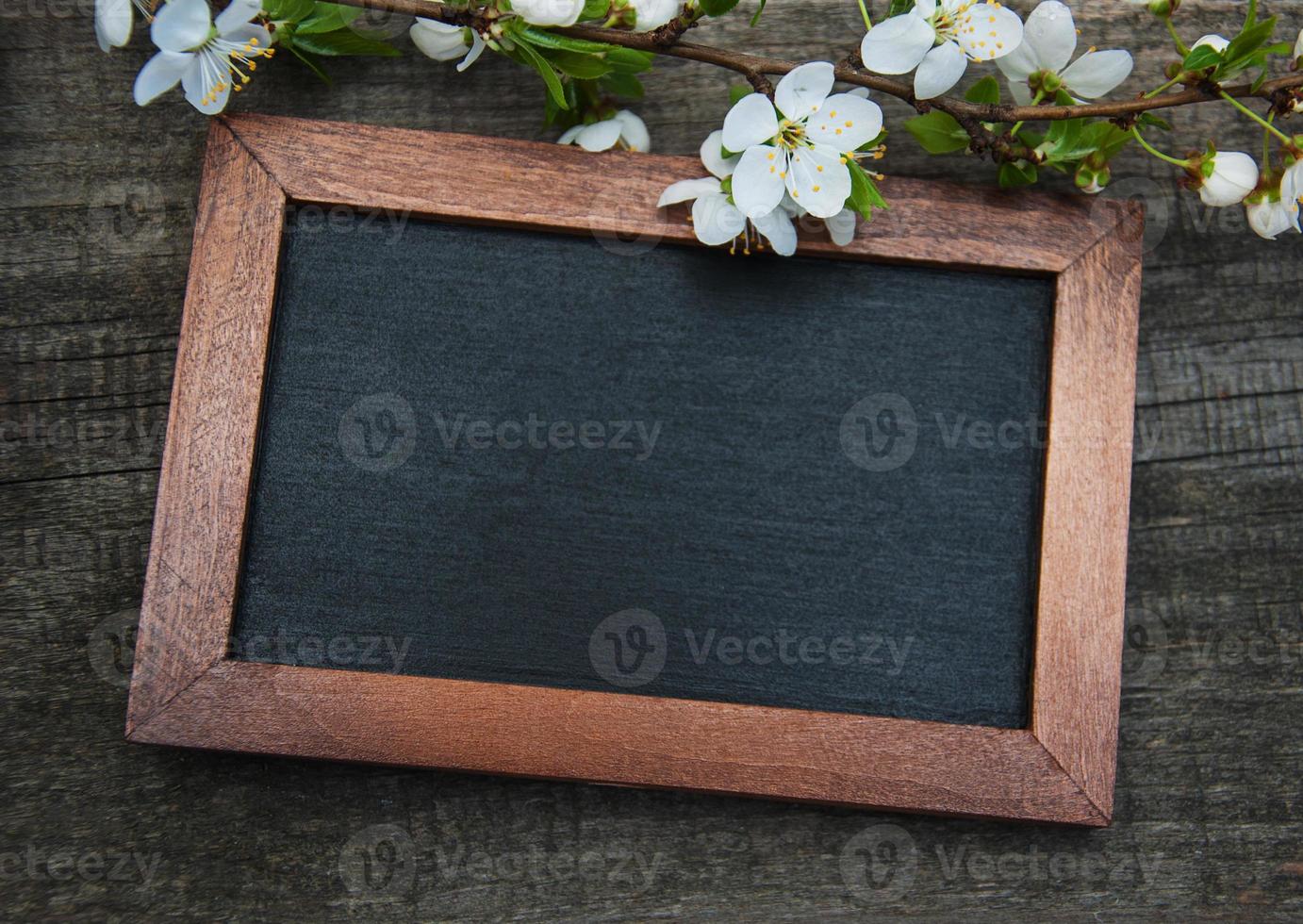 Spring cherries blossom and blackboard photo