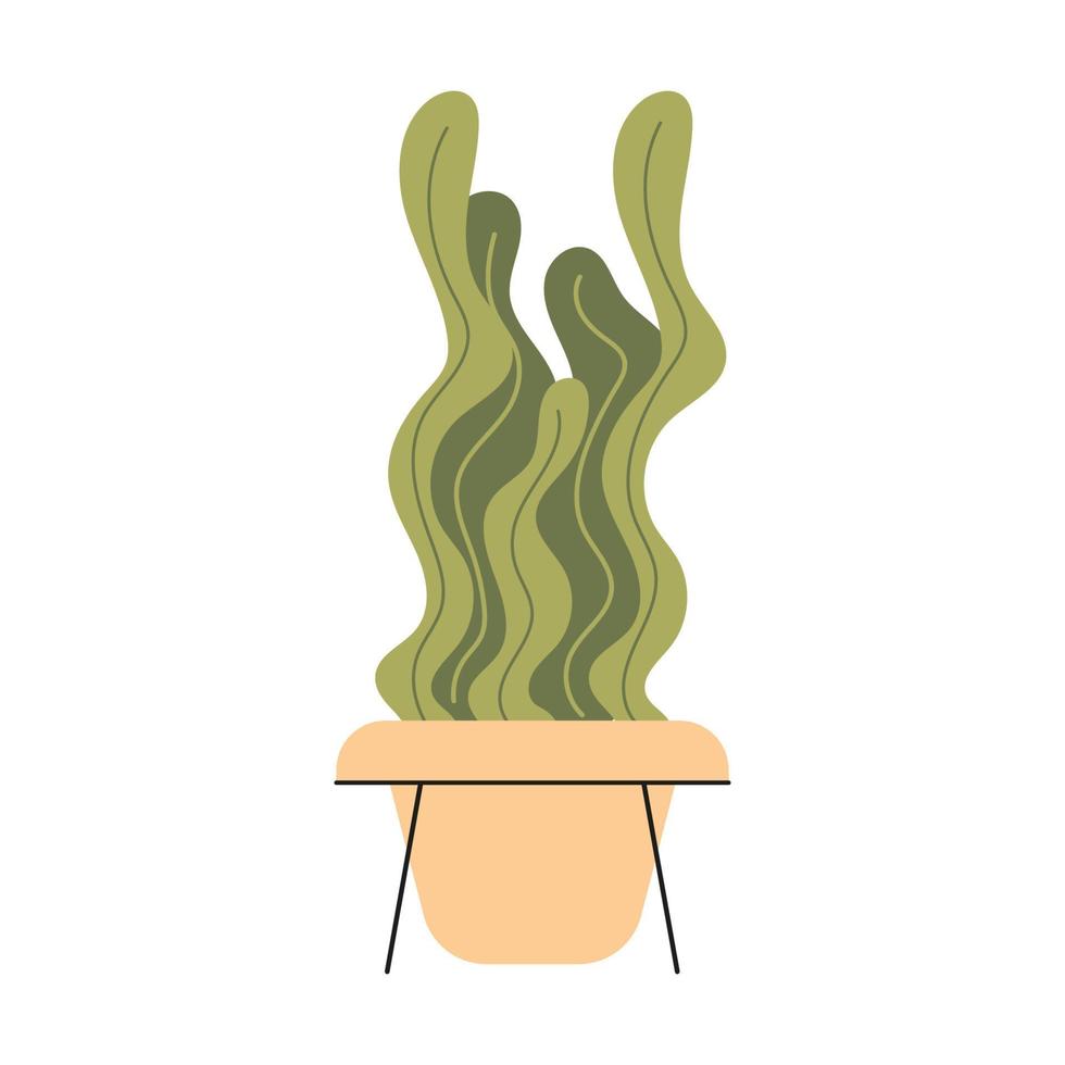 Flat vector isolated illustration of houseplant in a pot