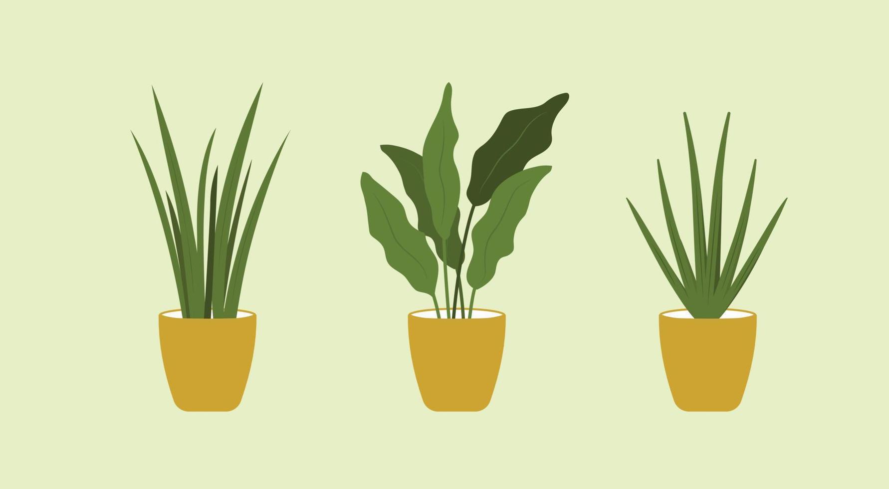 Green houseplants, planters vector illustration. natural home decor and indoor houseplants. Flat vector illustration