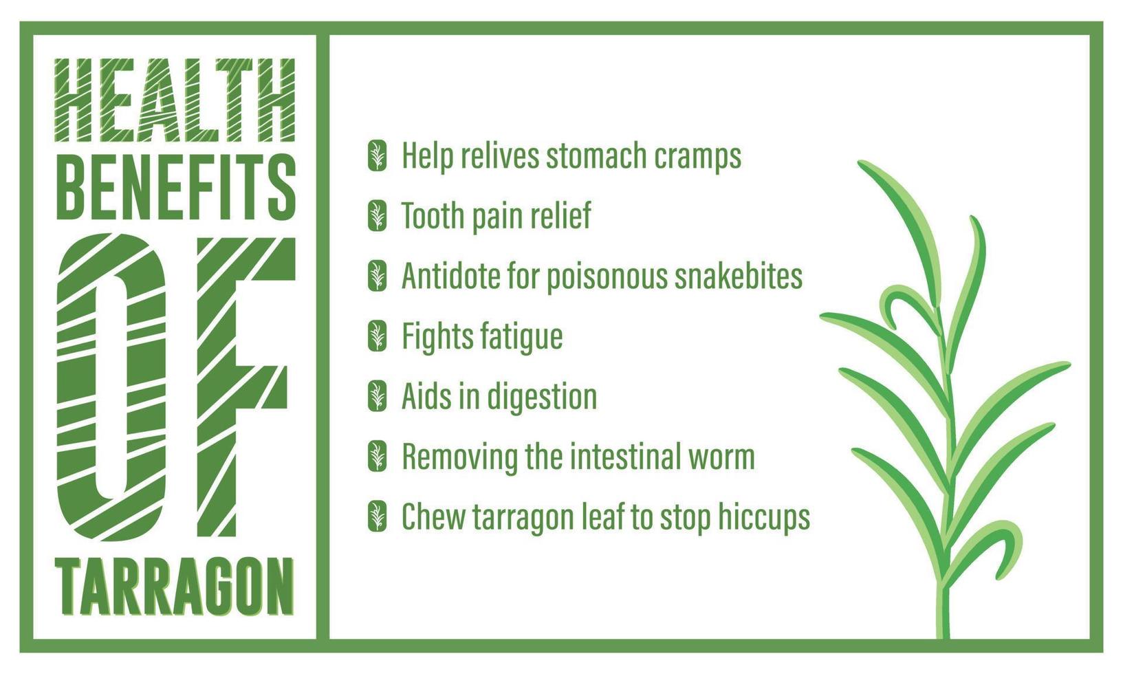 Health benefits of tarragon, tarragon uses vector