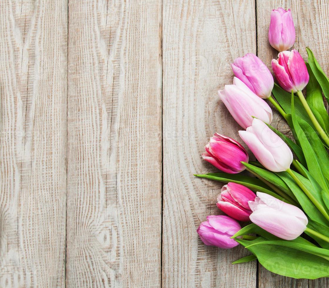 Spring tulips flowers photo