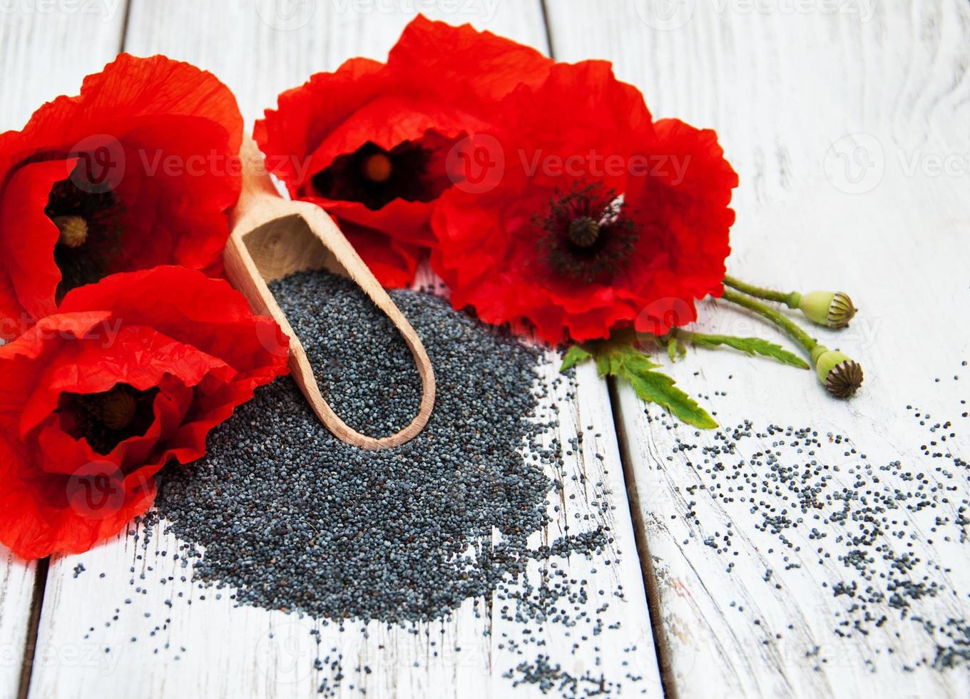 Poppy seeds and flowers photo