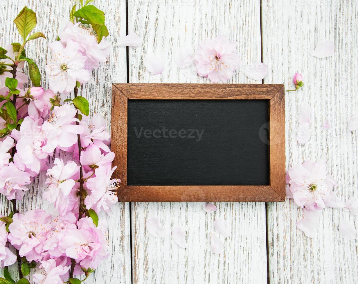 Sakura blossom with blackboard photo