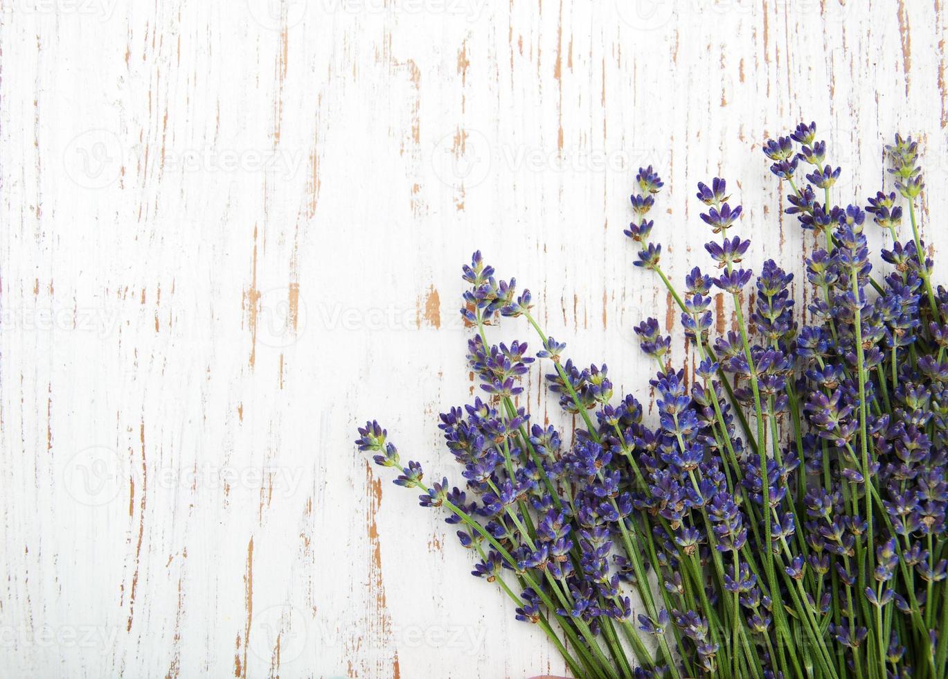 manojo de lavanda foto