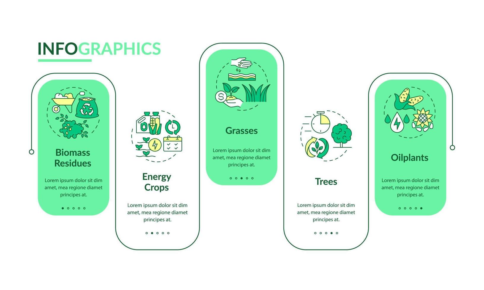 Biomass energy production rectangle infographic template. Energy crops. Data visualization with 5 steps. Process timeline info chart. Workflow layout with line icons. Lato-Bold, Regular fonts used vector