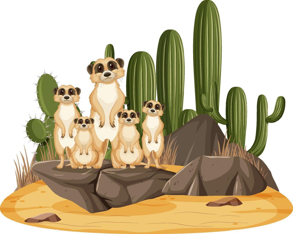 Isolated nature scene with meerkat family vector