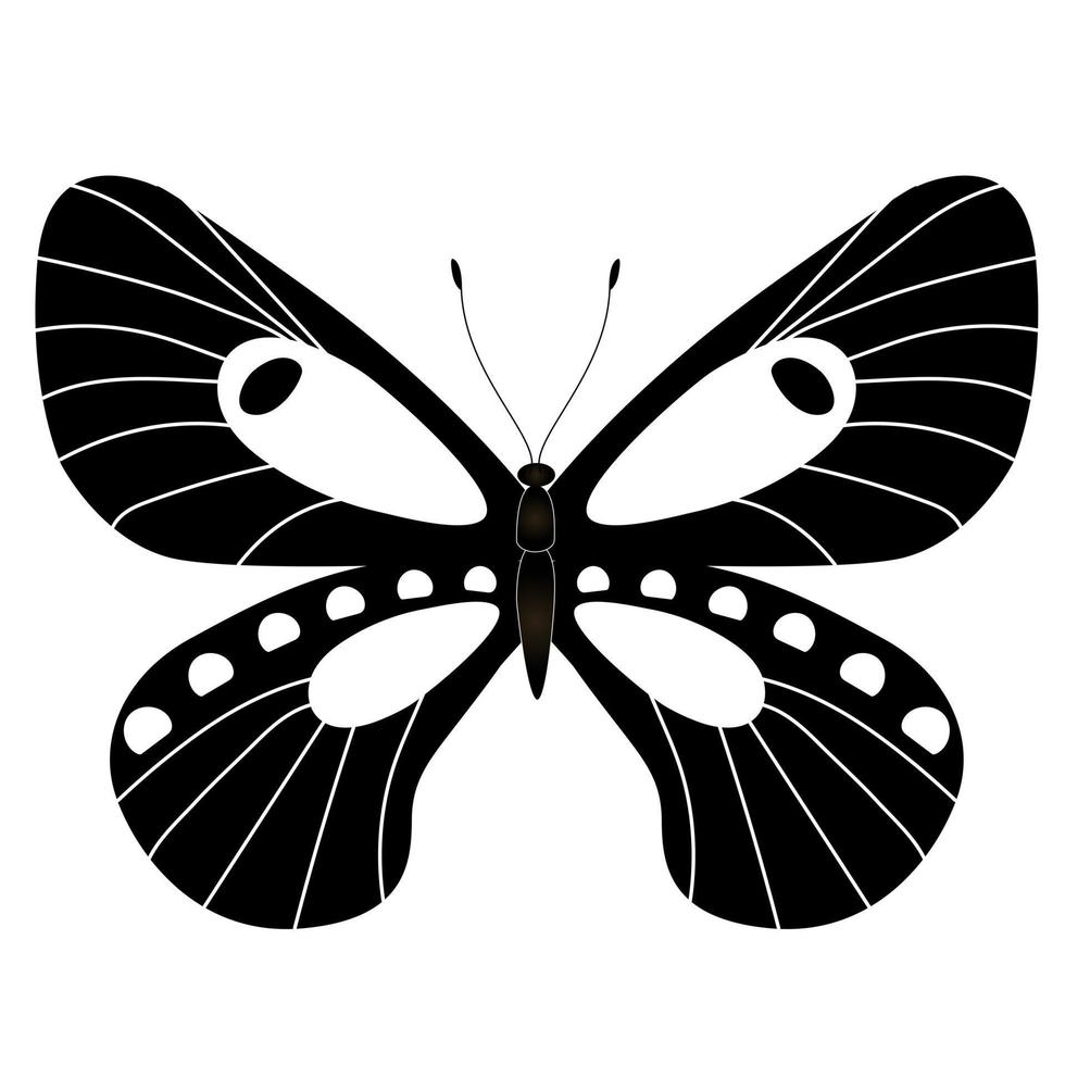 Butterfly insect silhouette outline on white background vector