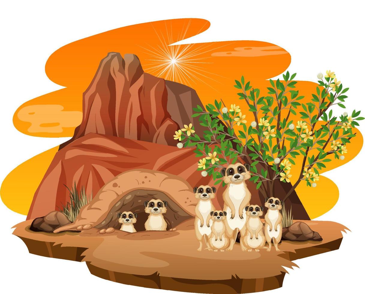 Isolated nature scene with meerkat family vector