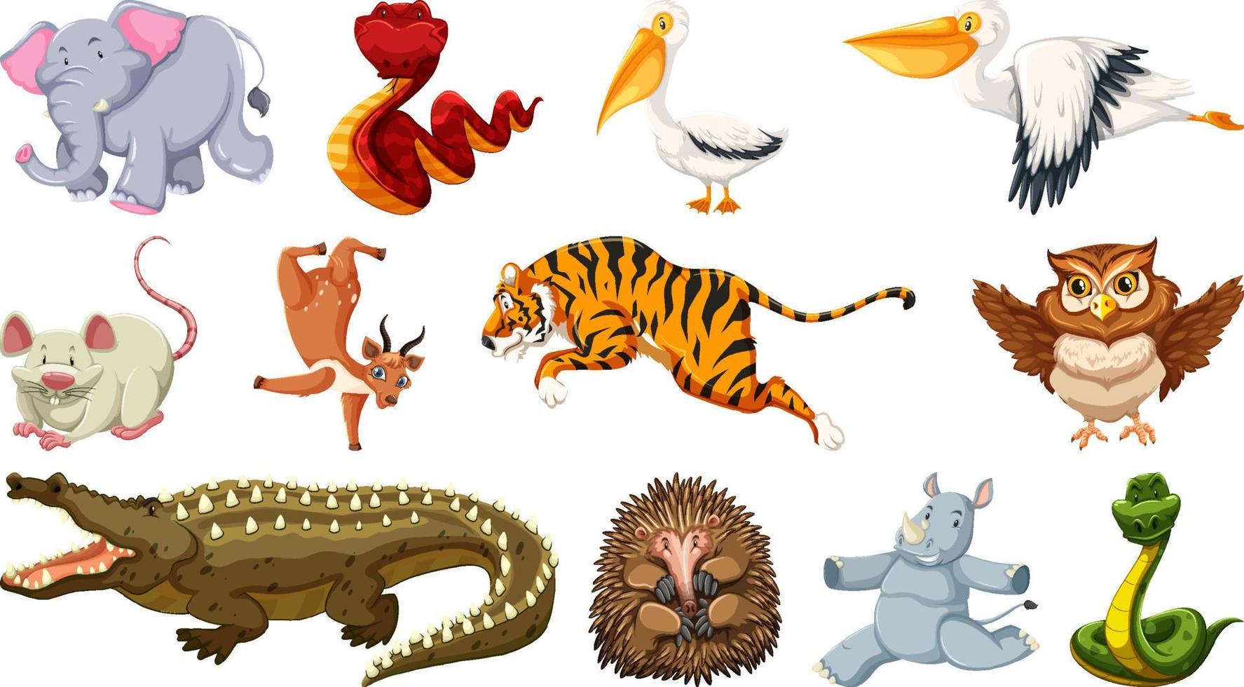 Set of different wild animals cartoon characters vector