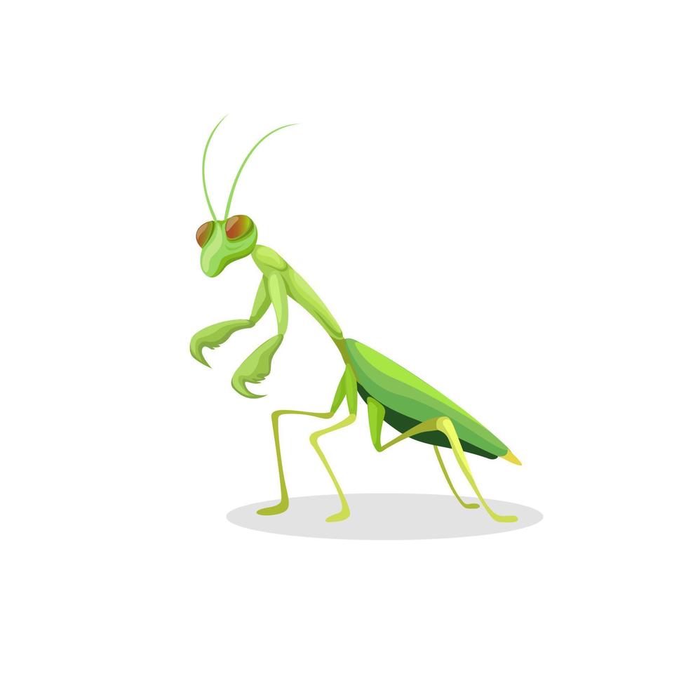 vector de ilustración de dibujos animados de personaje de figura animal de mantis religiosa