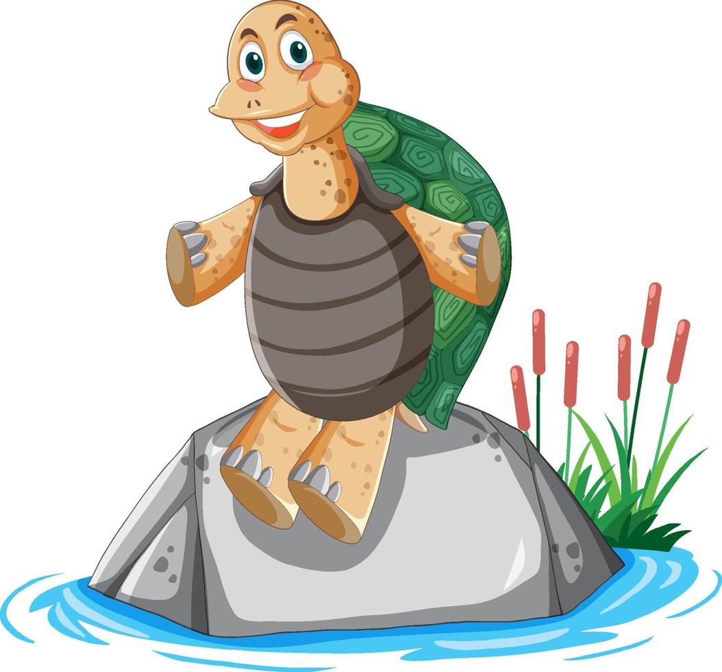 Turtle with green shell sitting on a rock vector