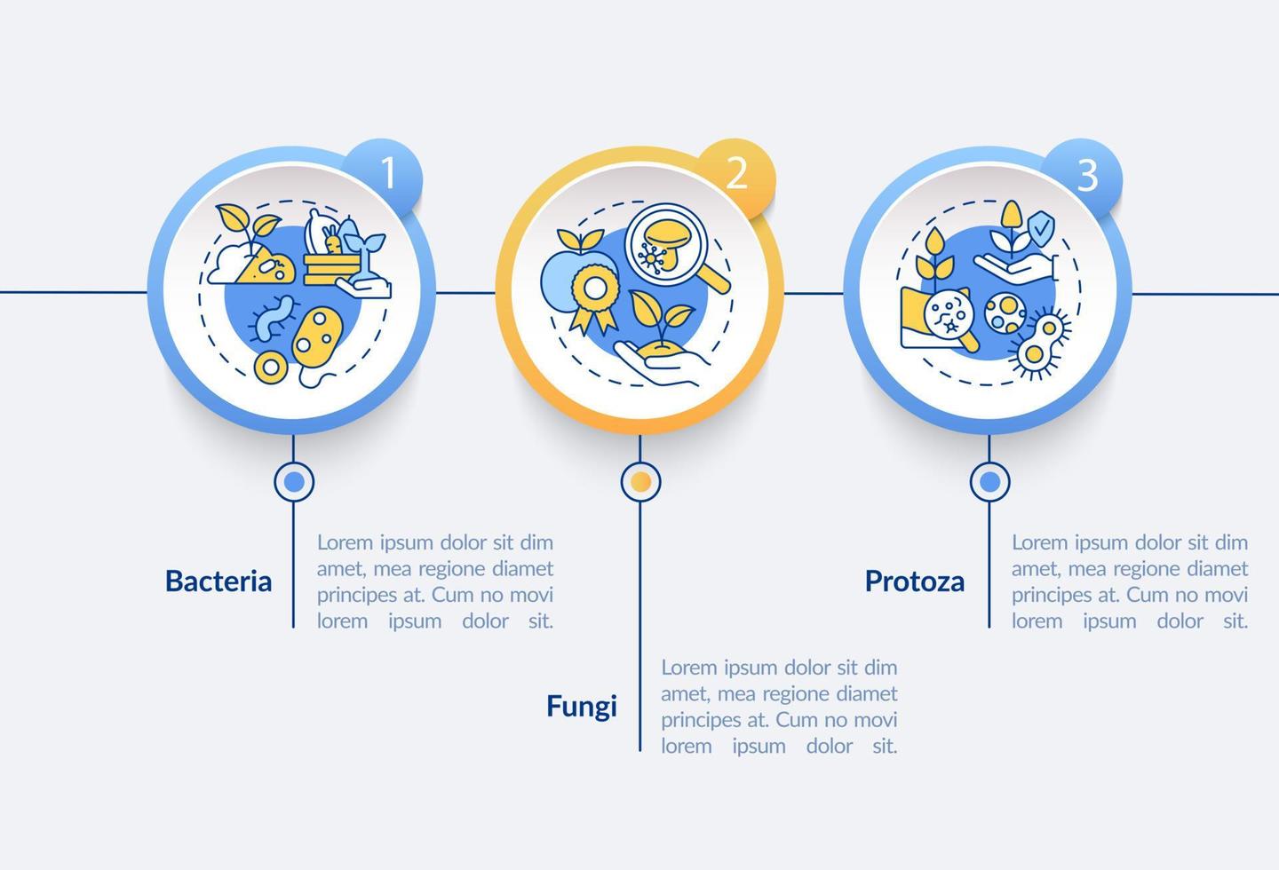 microorganismos en la plantilla infográfica del círculo agrícola. microbios visualización de datos con 3 pasos. gráfico de información de la línea de tiempo del proceso. diseño de flujo de trabajo con iconos de línea. lato-negrita, fuentes regulares utilizadas vector