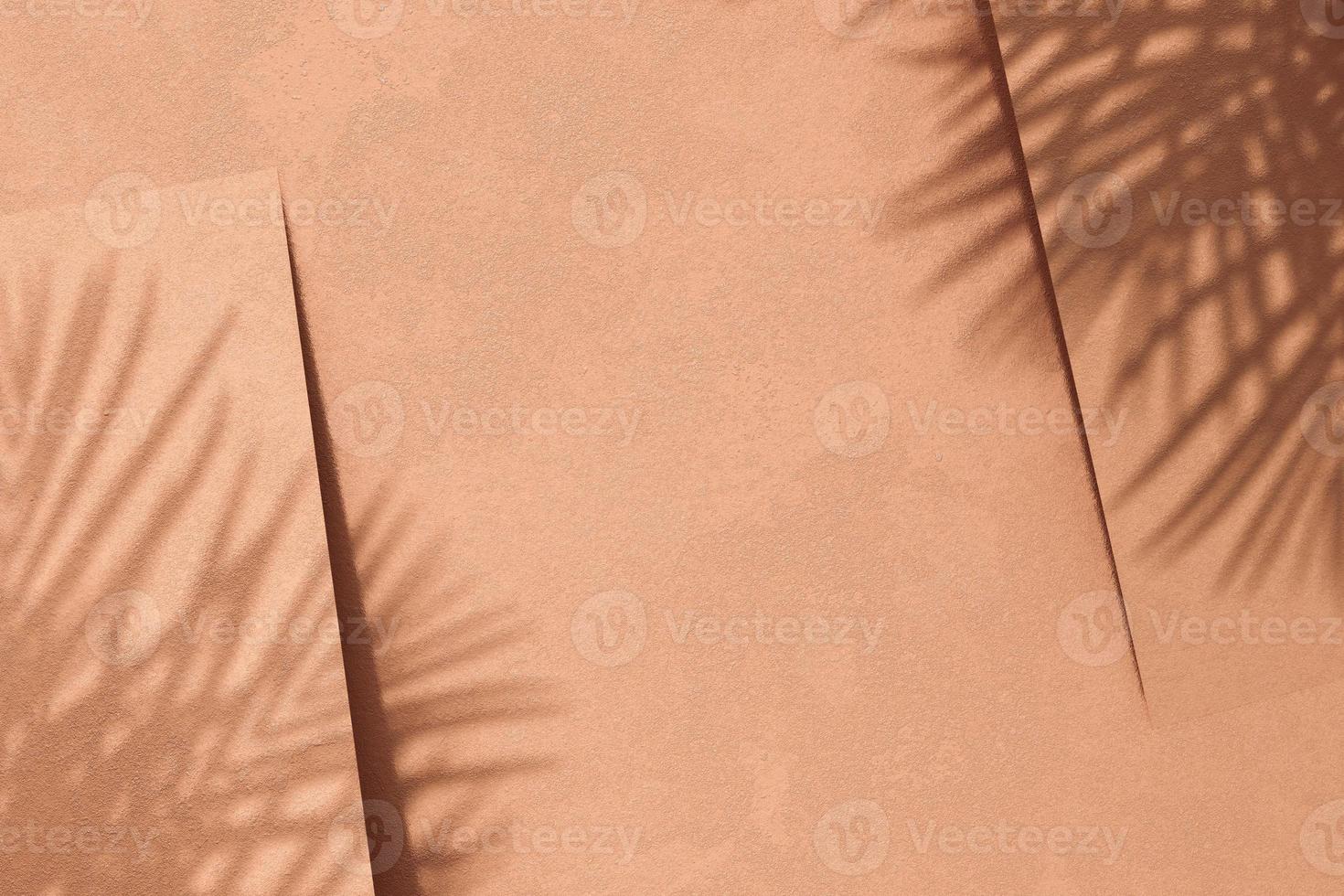 Abstract background for creative, tropical plants shade on three brown paper. 3d rendering photo