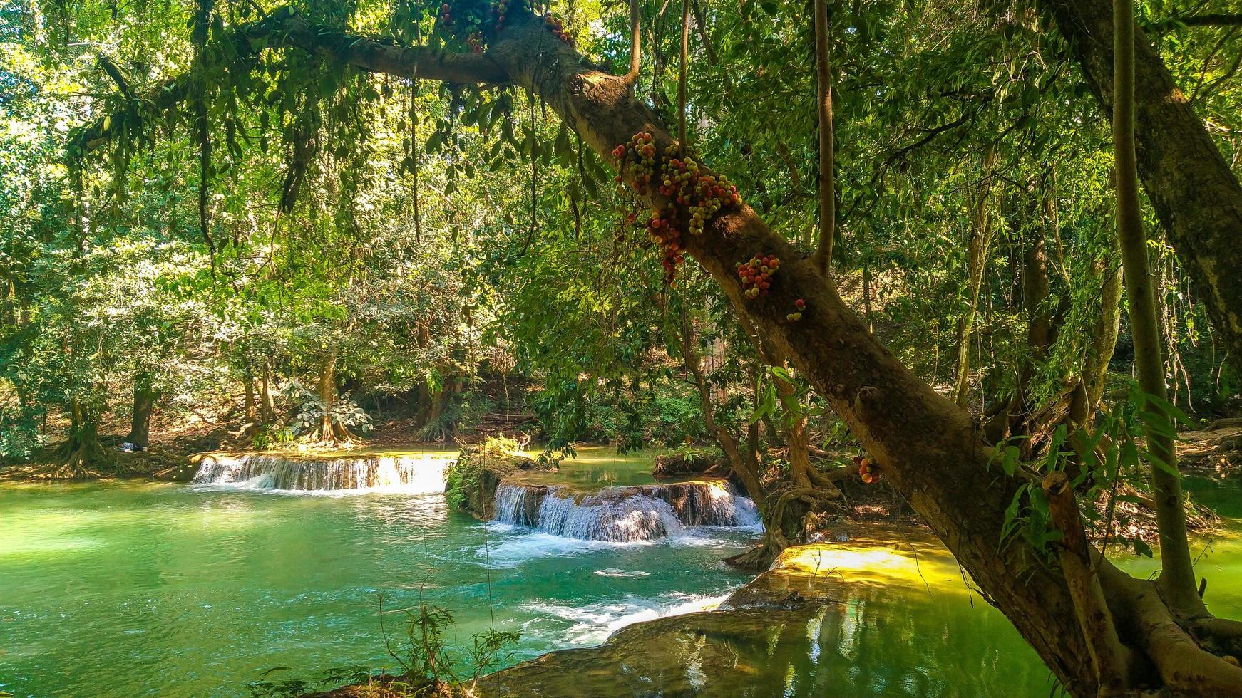 panorámica exótica hermosa cascada de la selva tropical profunda cascadas frescas en el bosque profundo foto