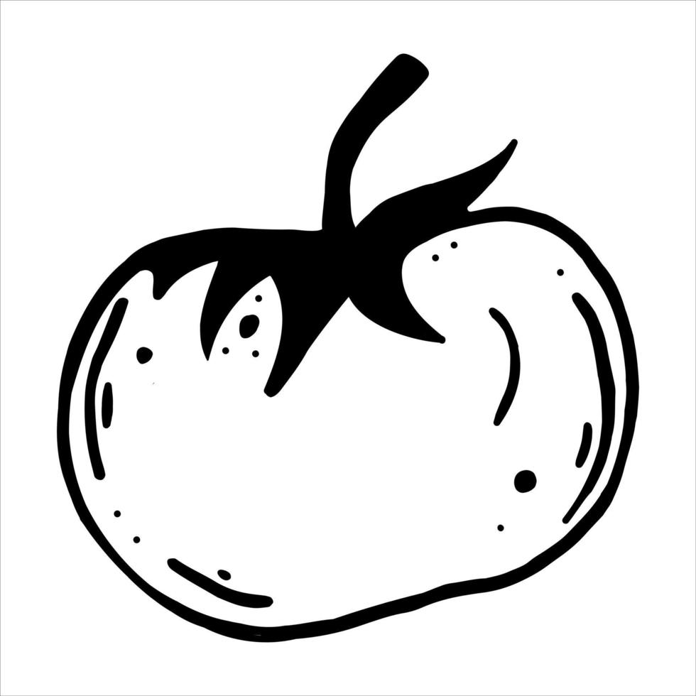 Tomato vector icon. Black outline of a garden vegetable. Isolated illustration on white. Food sketch. Hand-drawn doodle. Organic harvest. Cherry tomato with leaves and stem. Monochrome.